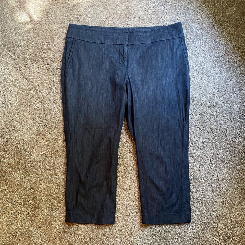 LOFT Navy Capris
